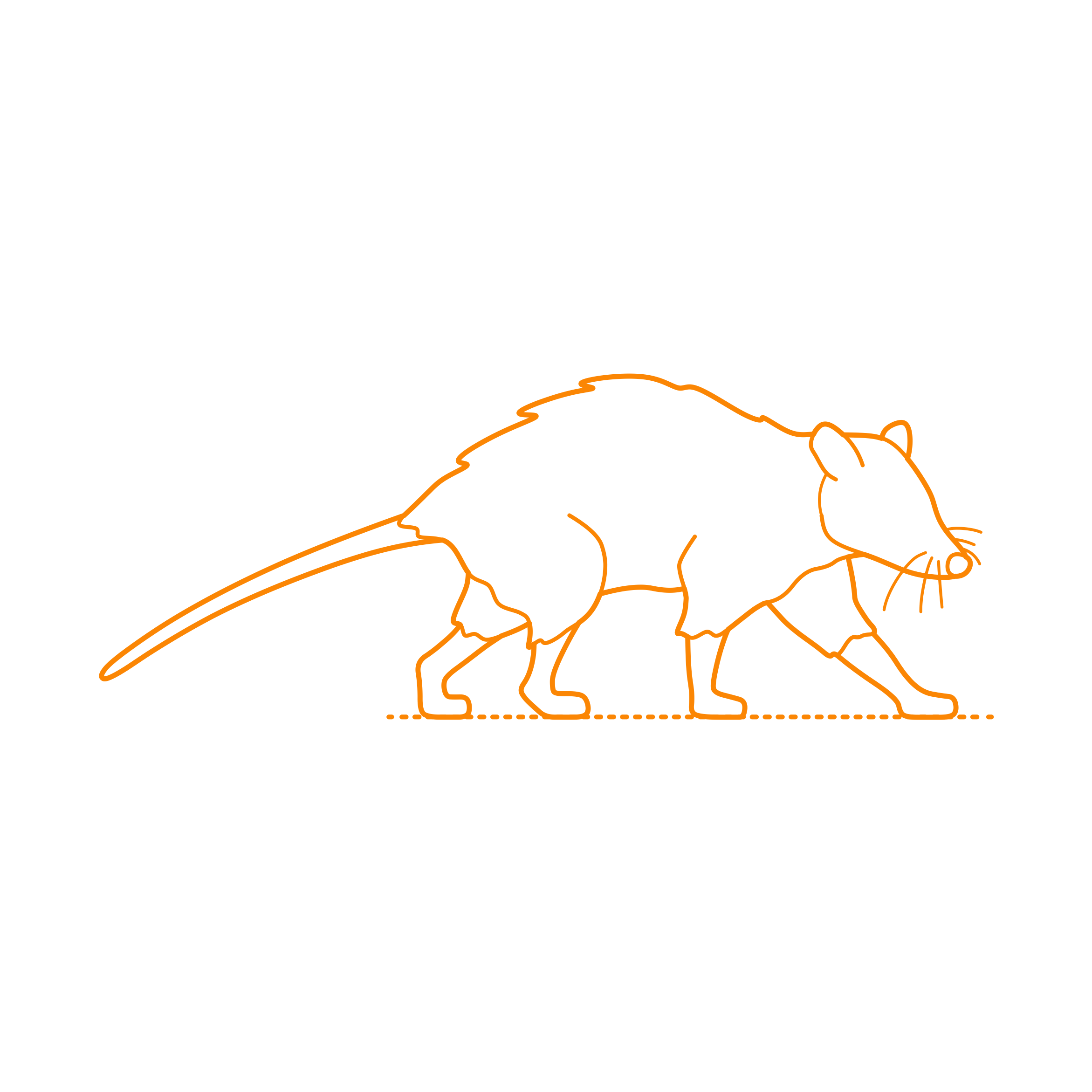 Animals Marsupials Virginia Opossum Stencil Svg Design File Free Vectors